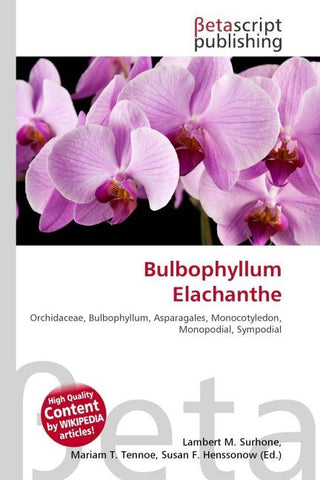 Bulbophyllum Elachanthe