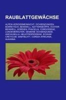 Raublattgewächse