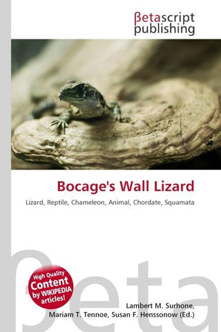 Bocage's Wall Lizard