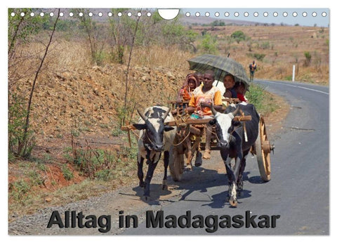 Alltag in Madagaskar (Wandkalender 2026 DIN A4 quer), CALVENDO Monatskalender