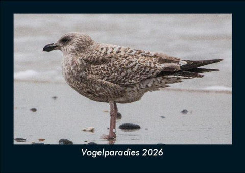 Vogelparadies 2026 Fotokalender DIN A5