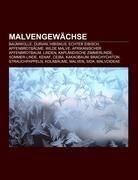 Malvengewächse