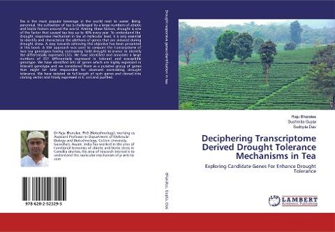 Deciphering Transcriptome Derived Drought Tolerance Mechanisms in Tea