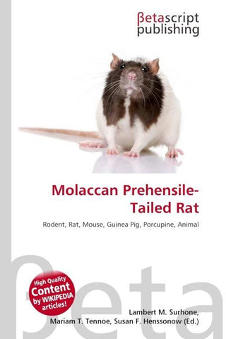 Molaccan Prehensile-Tailed Rat