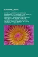 Schwanzlurche