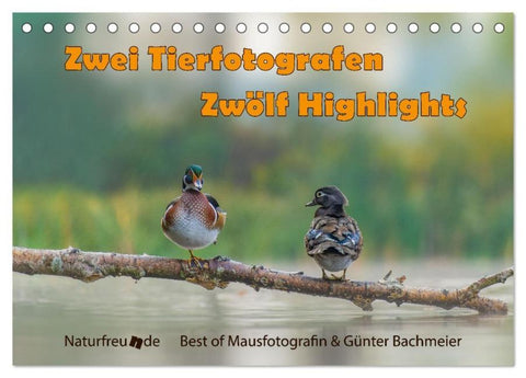 Zwei Tierfotografen Zwölf Highlights (Tischkalender 2026 DIN A5 quer), CALVENDO Monatskalender