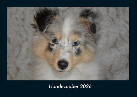 Hundezauber 2026 Fotokalender DIN A4