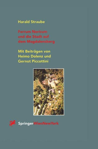 Ferrum Noricum und die Stadt auf dem Magdalensberg