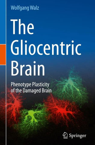 The Gliocentric Brain