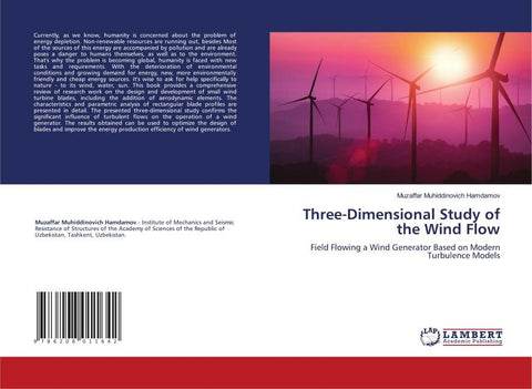Three-Dimensional Study of the Wind Flow