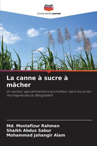 La canne à sucre à mâcher