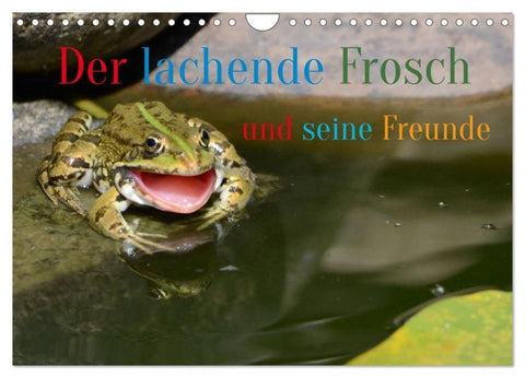 Der lachende Frosch und seine Freunde (Wandkalender 2026 DIN A4 quer), CALVENDO Monatskalender