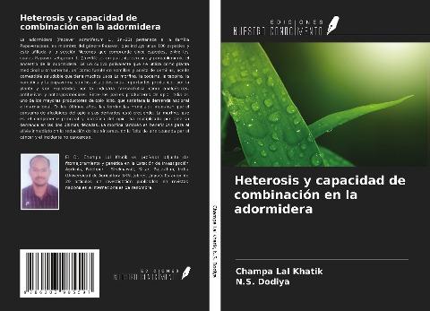 Heterosis y capacidad de combinación en la adormidera