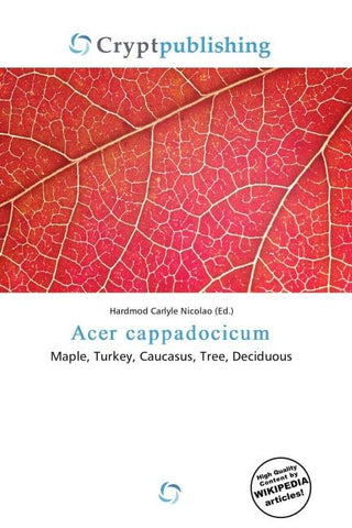 Acer cappadocicum