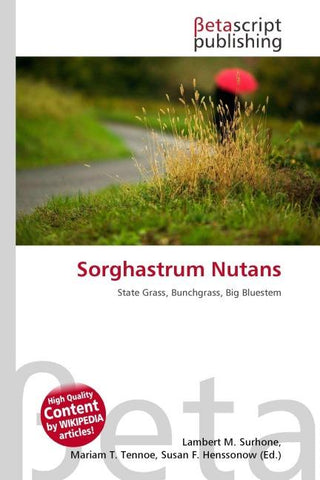 Sorghastrum Nutans