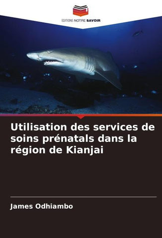 Utilisation des services de soins prénatals dans la région de Kianjai