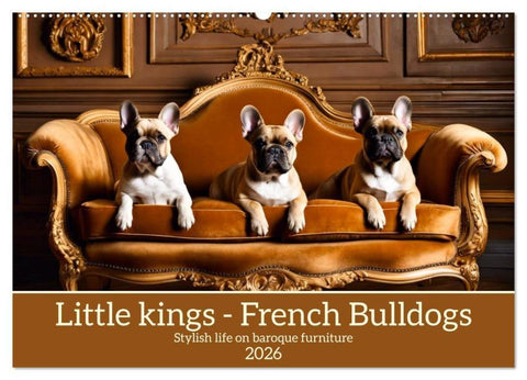 Little kings - French Bulldogs (Wall Calendar 2026 DIN A2 landscape), CALVENDO 12 Month Wall Calendar