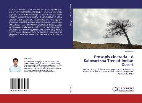 Prosopis cineraria - A Kalpvarksha Tree of Indian Desert