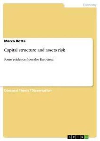 Capital structure and assets risk