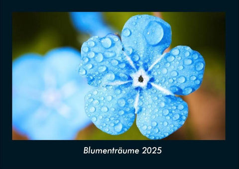 Blumenträume 2025 Fotokalender DIN A4
