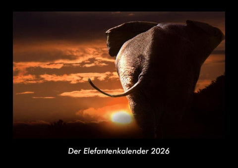 Der Elefantenkalender 2026 Fotokalender DIN A3