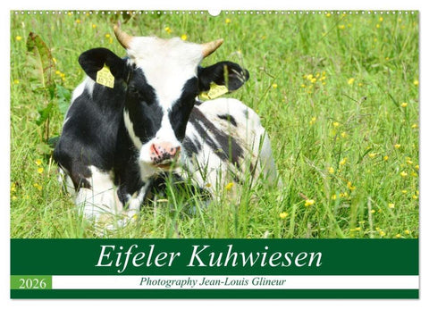 Eifeler Kuhwiesen (Wandkalender 2026 DIN A2 quer), CALVENDO Monatskalender