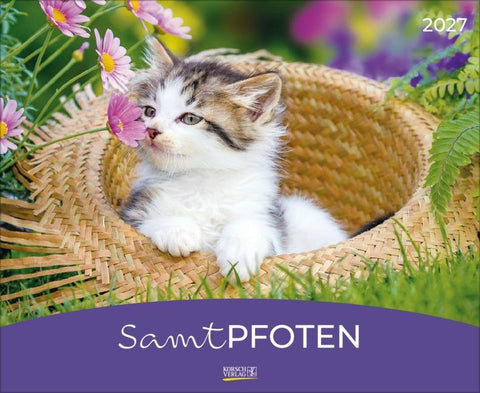 Samtpfoten 2027