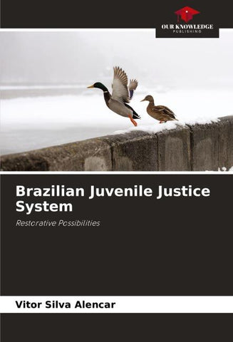 Brazilian Juvenile Justice System