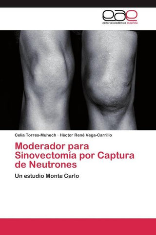 Moderador para Sinovectomía por Captura de Neutrones