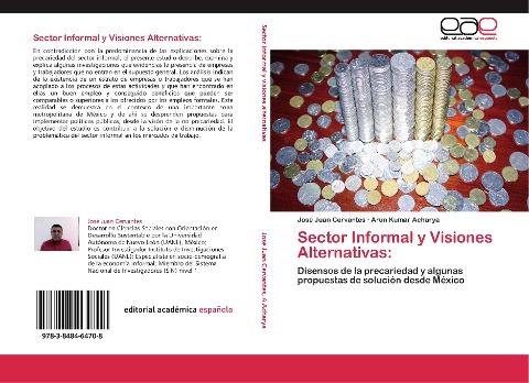 Sector Informal y Visiones Alternativas:
