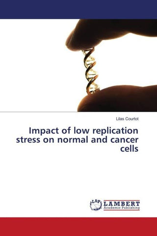 Impact of low replication stress on normal and cancer cells