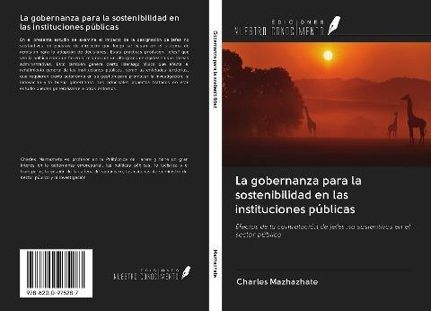 La gobernanza para la sostenibilidad en las instituciones públicas