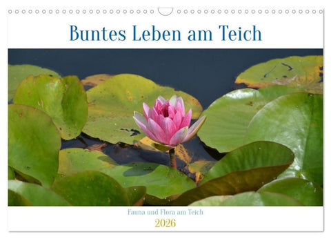 Buntes Leben am Teich (Wandkalender 2026 DIN A3 quer), CALVENDO Monatskalender