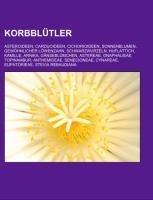 Korbblütler
