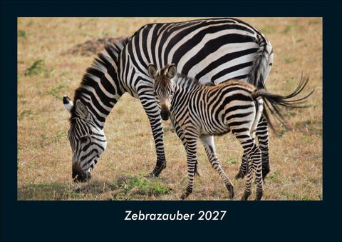 Zebrazauber 2027 Fotokalender DIN A4