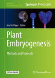 Plant Embryogenesis