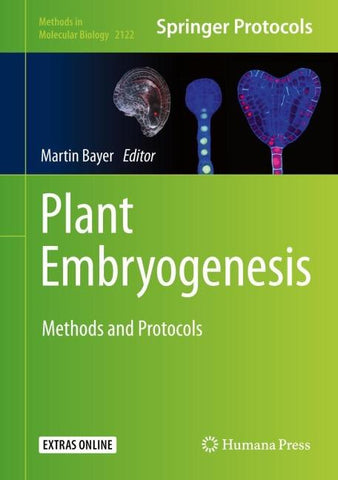 Plant Embryogenesis