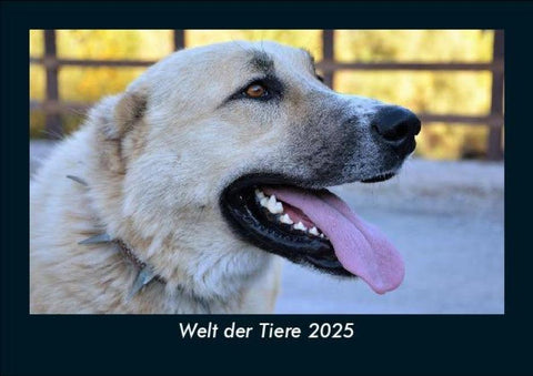 Welt der Tiere 2025 Fotokalender DIN A5