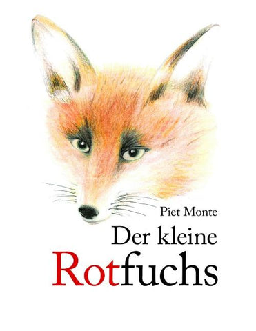 Der kleine Rotfuchs
