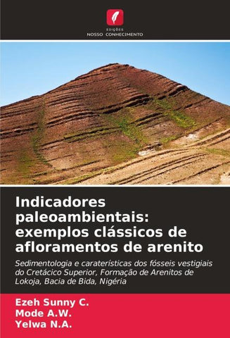 Indicadores paleoambientais: exemplos clássicos de afloramentos de arenito