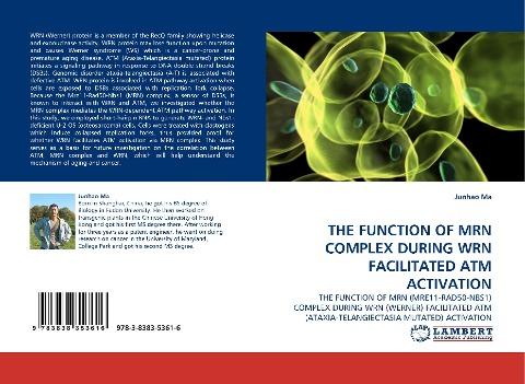 THE FUNCTION OF MRN COMPLEX DURING WRN FACILITATED ATM ACTIVATION