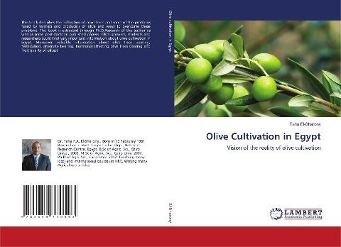 Olive Cultivation in Egypt