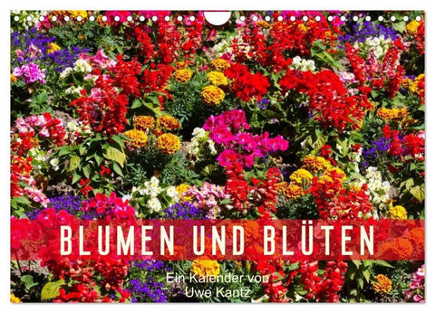 Blumen und Blüten (Wandkalender 2026 DIN A4 quer), CALVENDO Monatskalender