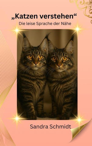 Katzen verstehen