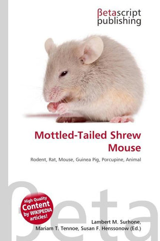Mottled-Tailed Shrew Mouse