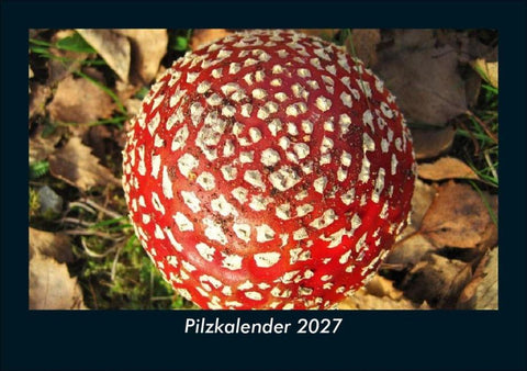 Pilzkalender 2027 Fotokalender DIN A5