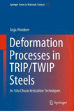 Deformation Processes in TRIP/TWIP Steels