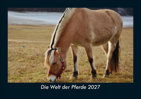 Die Welt der Pferde 2027 Fotokalender DIN A5