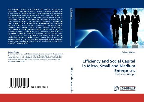 Efficiency and Social Capital in Micro, Small and Medium Enterprises