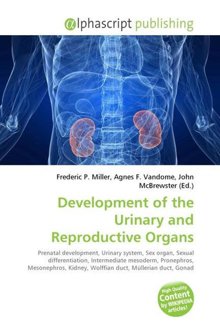 Development of the Urinary and Reproductive Organs